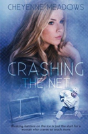 Crashing The Net - Preview