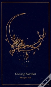 Capa do artigo Craving Stardust