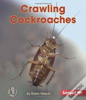 Crawling Cockroaches