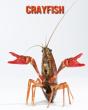 Crayfish - Preview
