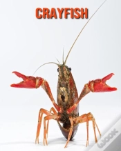 Capa do artigo Crayfish