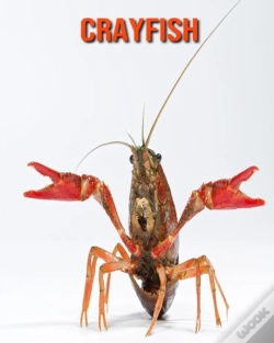 Capa do artigo Crayfish