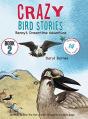 Crazy Bird Stories - Preview