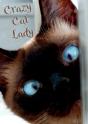 Crazy Cat Lady Notebook - Preview