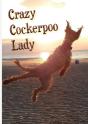 Crazy Cockerpoo Lady - Preview