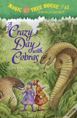 Capa do artigo Crazy Day With Cobras