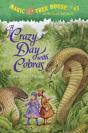 Crazy Day With Cobras - Preview