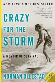 Capa do artigo Crazy For The Storm