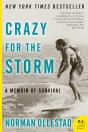 Crazy For The Storm - Preview