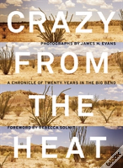 Capa do artigo Crazy From The Heat
