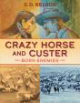 Crazy Horse And Custer - Preview