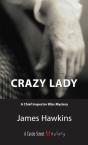 Crazy Lady - Preview