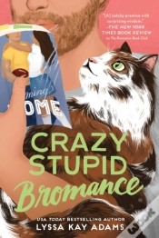 Capa do artigo Crazy Stupid Bromance