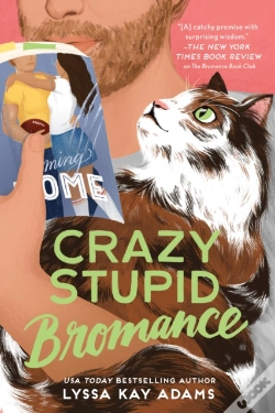 Capa do artigo Crazy Stupid Bromance