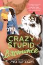 Crazy Stupid Bromance - Preview