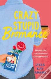 Capa do artigo Crazy Stupid Bromance