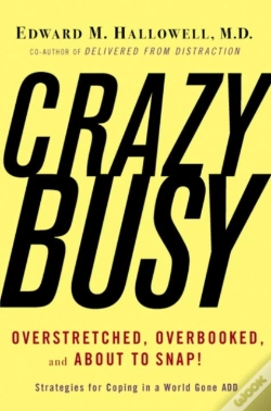 Capa do artigo Crazybusy