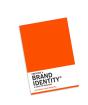 Creating A Brand Identity: A Guide For Designers - Preview