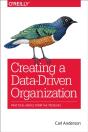 Creating A Data-Driven Organization - Preview
