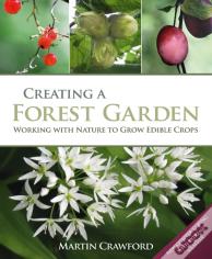Creating A Forest Garden