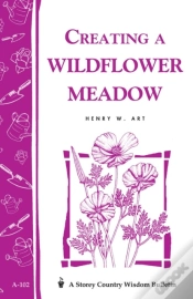 Capa do artigo Creating A Wildflower Meadow