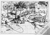 Creating The Creole Island