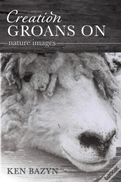 Capa do artigo Creation Groans On