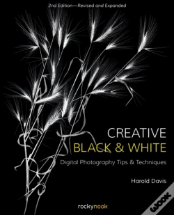 Capa do artigo Creative Black And White