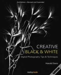 Capa do artigo Creative Black And White