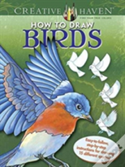 Creative Haven How To Draw Birds