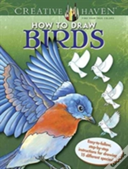 Capa do artigo Creative Haven How To Draw Birds