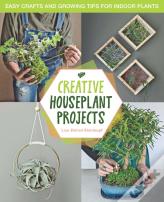 Creative Houseplant Projects