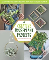Creative Houseplant Projects