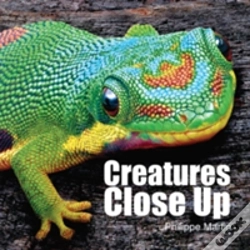 Capa do artigo Creatures Close Up