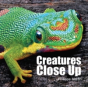 Creatures Close Up - Preview