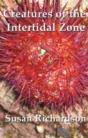 Creatures Of The Intertidal Zone - Preview