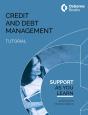Credit And Debt Management Tutorial - Preview