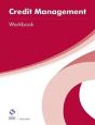 Credit Management Workbook - Preview