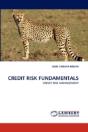 Credit Risk Fundamentals - Preview