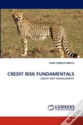 Credit Risk Fundamentals