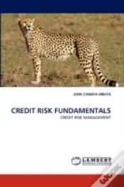 Capa do artigo Credit Risk Fundamentals