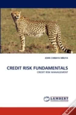 Capa do artigo Credit Risk Fundamentals