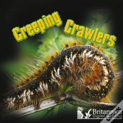 Capa do artigo Creeping Crawlers