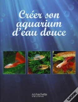 Capa do artigo Creer Un Aquarium D Eau Douce