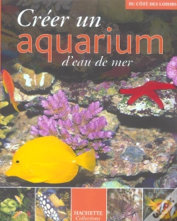 Capa do artigo Creer Un Aquarium D'Eau De Mer