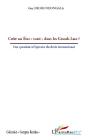 Créer Un État "Tutsi" Dans Les Grands Lacs ? Une Question A L'Épreuve Du Droit International - Preview