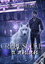 Capa do artigo Crépuscule D