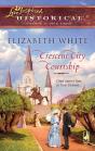 Crescent City Courtship - Preview