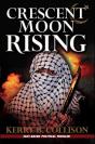 Crescent Moon Rising - Preview