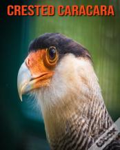 Crested Caracara